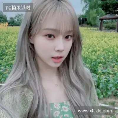 何鹰辉
